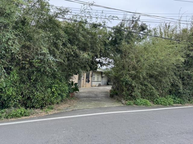桃園大園建地-3