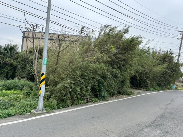 桃園大園建地-4