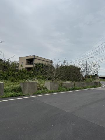 桃園大園建地-5