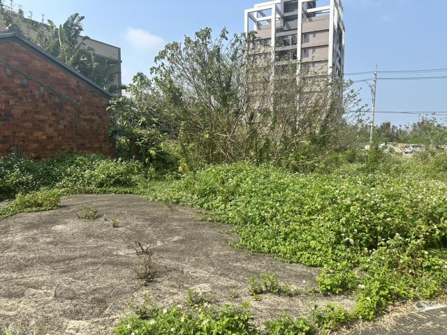 大園農地-5