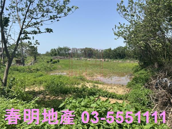 後龍農地-10