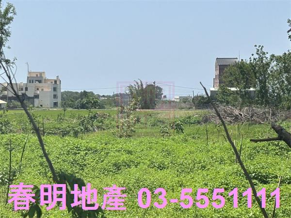 後龍農地-5