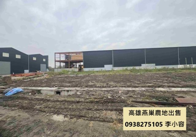 燕巢農地-1