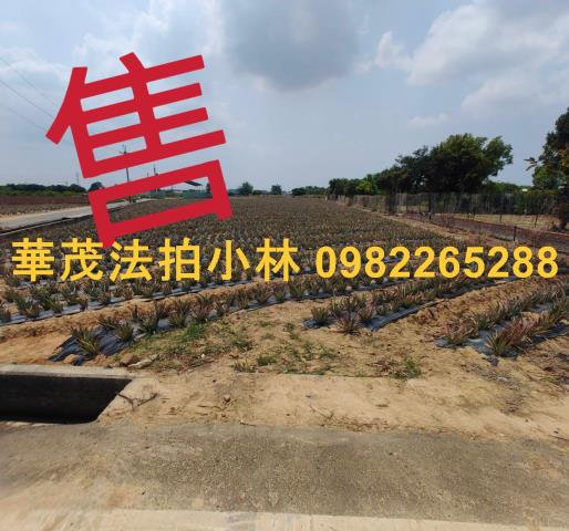 台南農地法拍-1