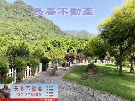 獅潭農地-5