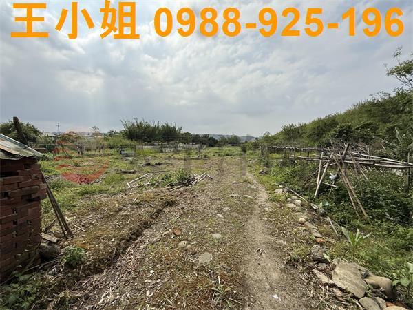 大溪農地-2