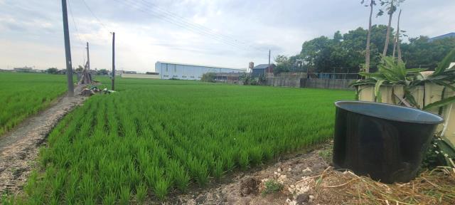 彰化埤頭農地-4