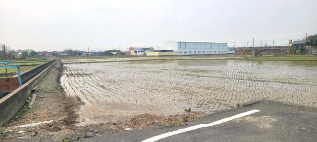 彰化埤頭農地-6
