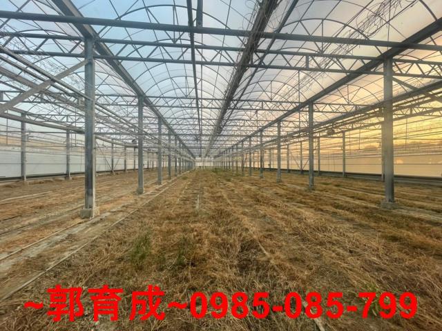 嘉義鹿草溫室-2