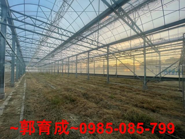 嘉義鹿草溫室-3