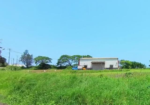桃園大園農地-3