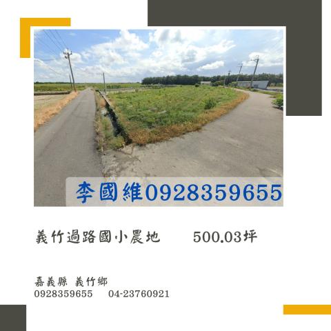 義竹法拍農地-1