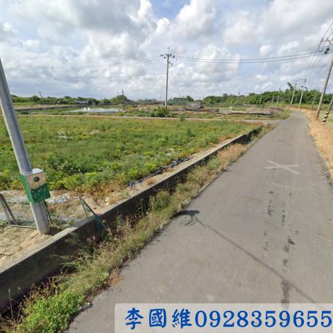 義竹法拍農地-2