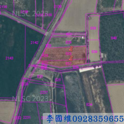 義竹法拍農地-3