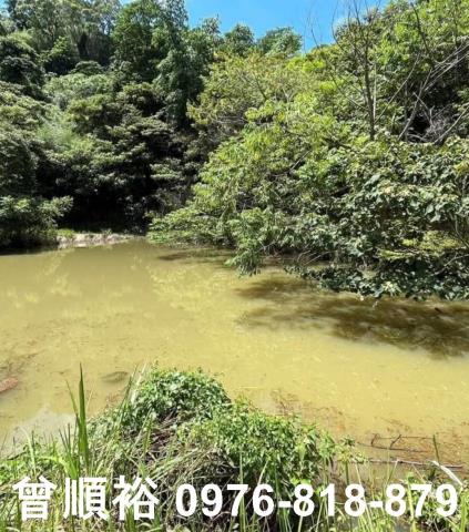 三灣農地-7