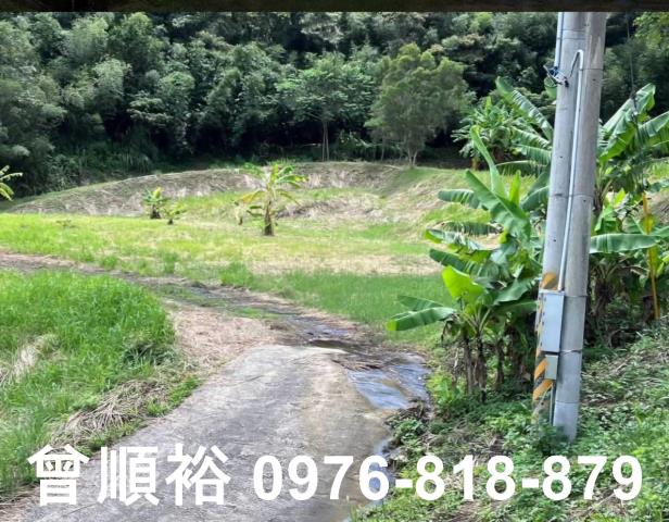 三灣農地-8