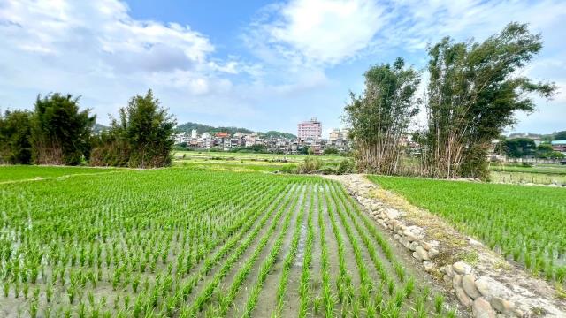 芎林農地-2
