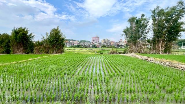 芎林農地-3