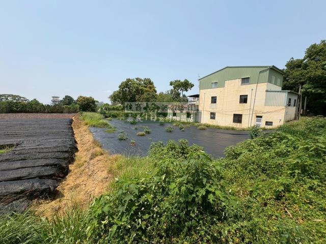 東區農地-9