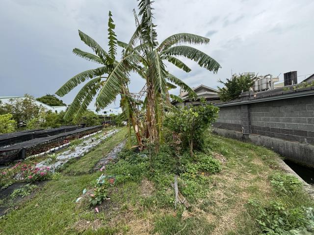 大雅農地-8