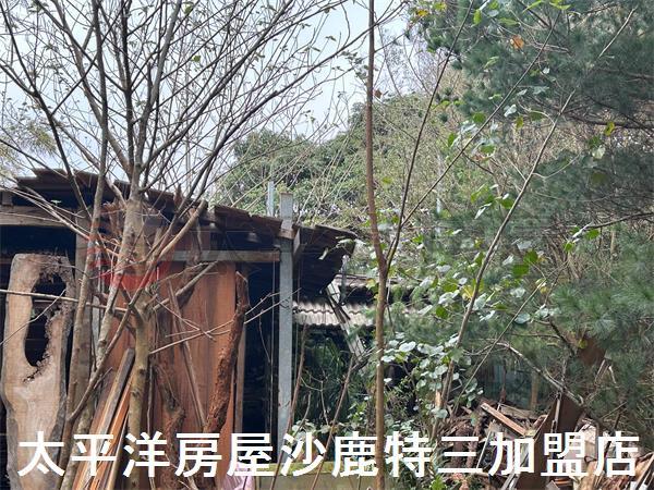 台中保護區-5
