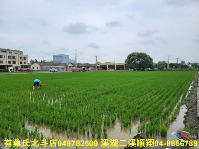 彰化農地-6