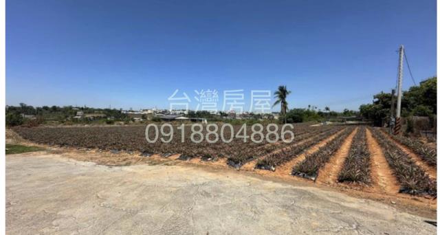 高雄農地-1