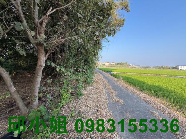 嘉義建地-2