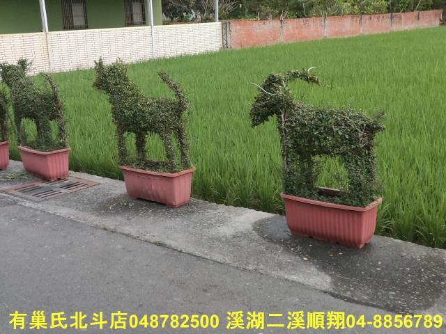 彰化埔心農地-2