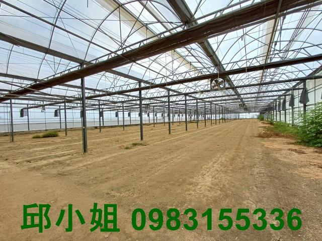 嘉義太保農地-2