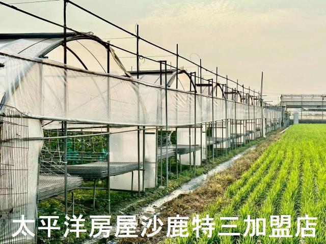 大肚農地-7