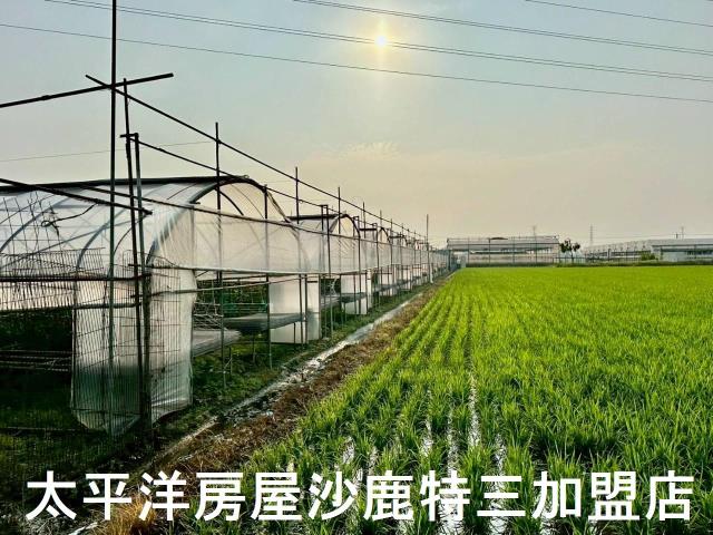 大肚農地-8