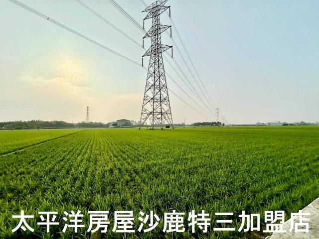 大肚農地-2