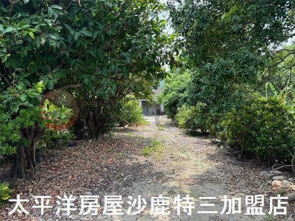 清水農地-3