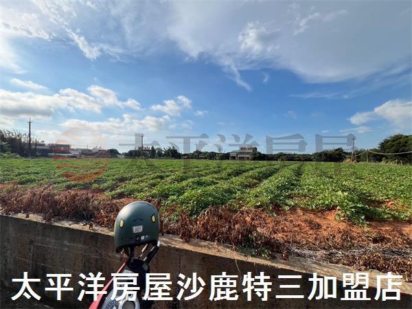 清水農地-2