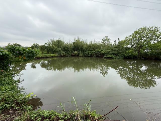 桃園農地-5