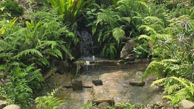 新竹農地-15