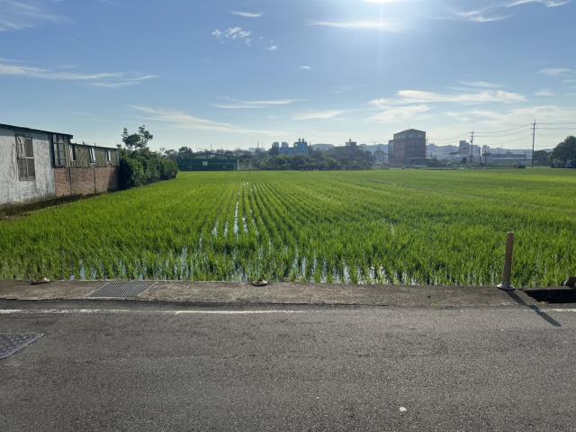 桃園中壢農地-2