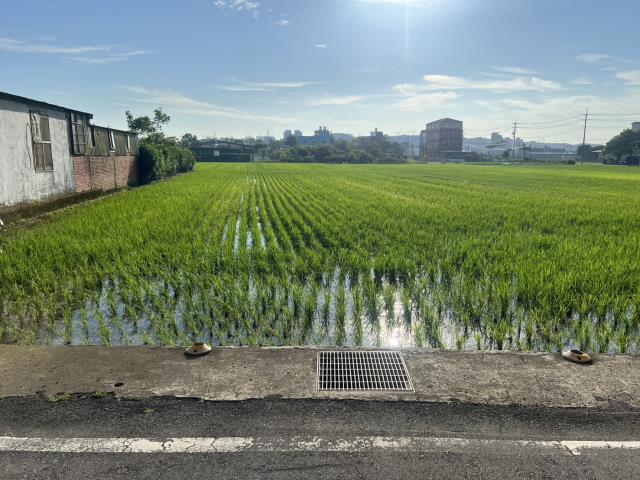 桃園中壢農地-3