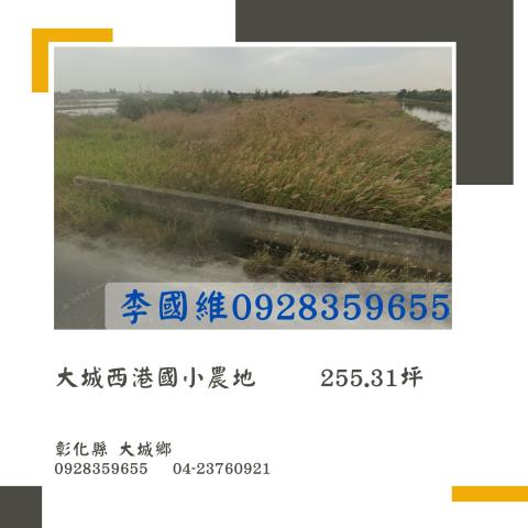 彰化大城法拍農地-1