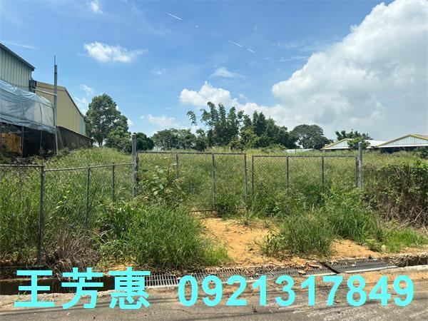 台中后里農地-1