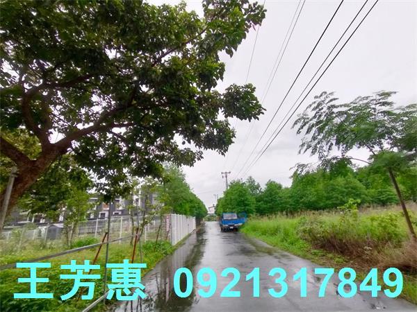 台中豐原農地-1