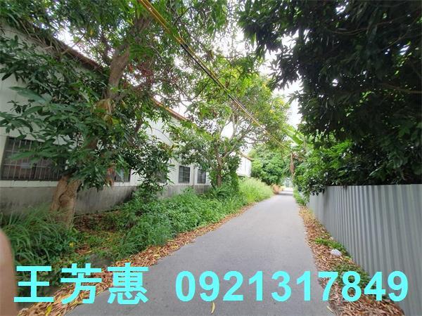 台中神岡農地-12