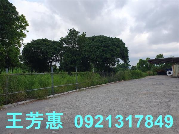 台中神岡農地-4
