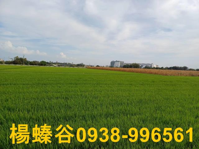 台南新營農地-6