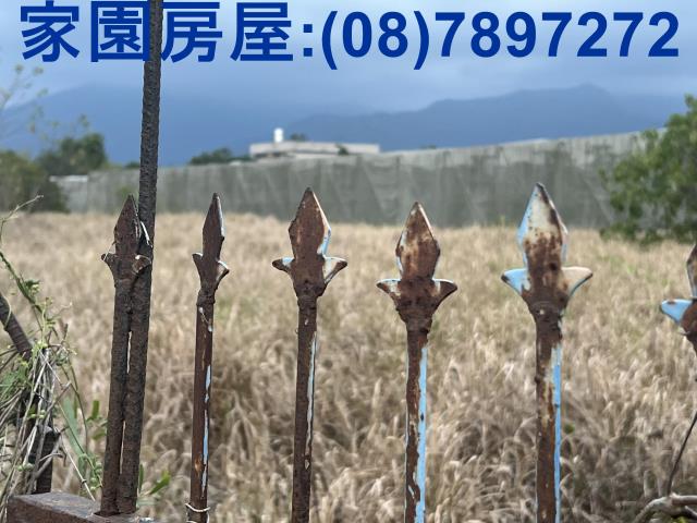 屏東新埤農地-5