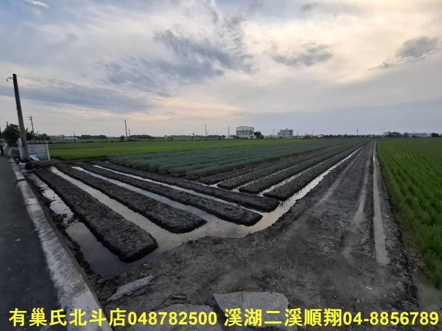 彰化埤頭農地-3