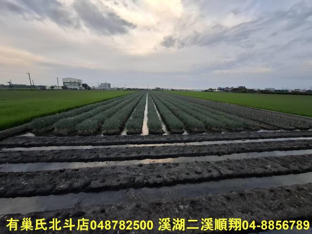 彰化埤頭農地-7