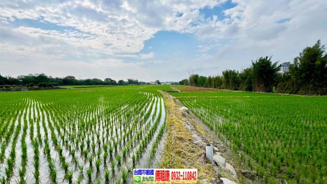 芎林農地-8