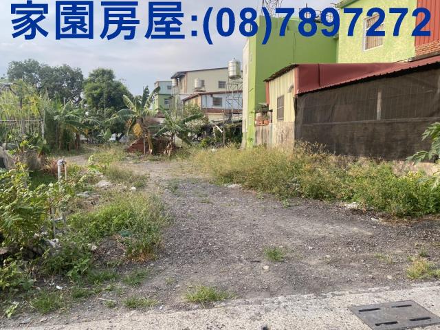 新埤農地-6